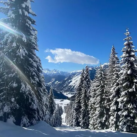 Tea Dolomiti - Di - Monte Civetta 3* Alleghe