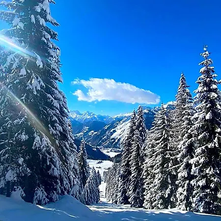 Tea Dolomiti - Di - Monte Civetta 3*